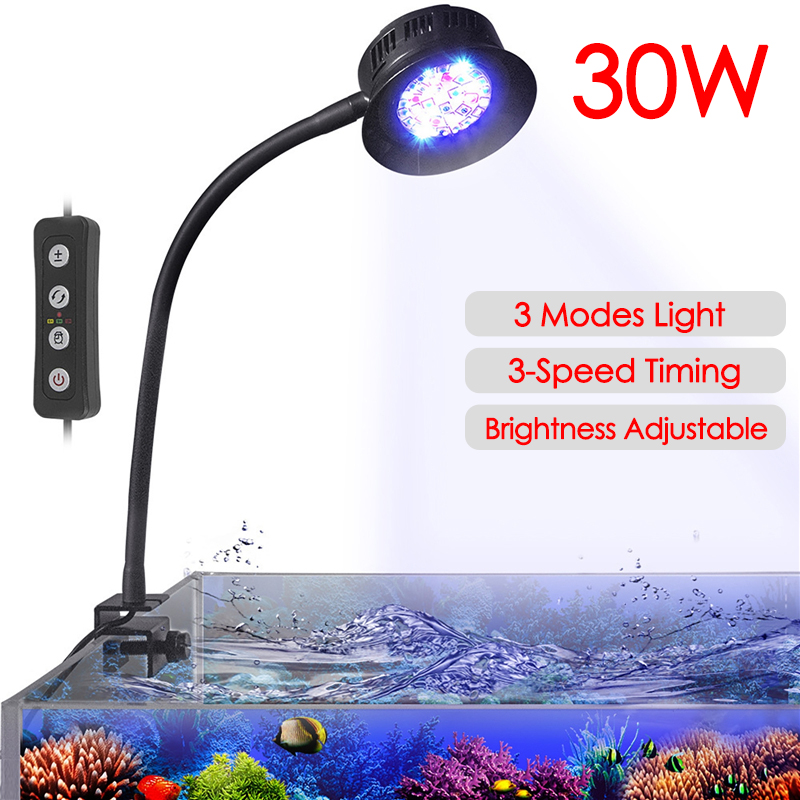 Marine Aquarium Aquascape - 30W Aquarium Fish Tank Sea Water