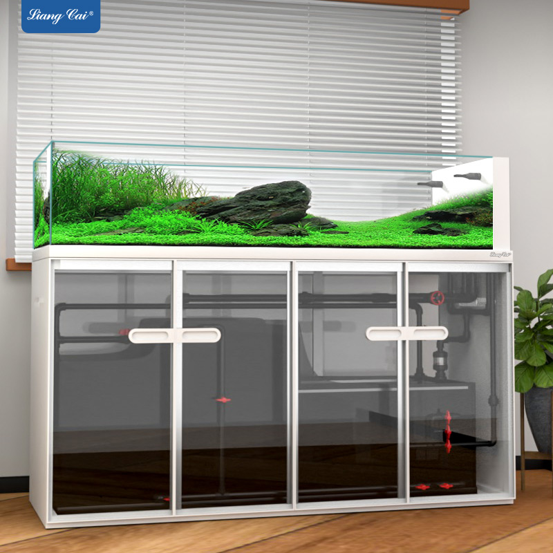 Large Modern Style Glass Fish  - Aquarium Marine Fish For Sale ulasan dan harga