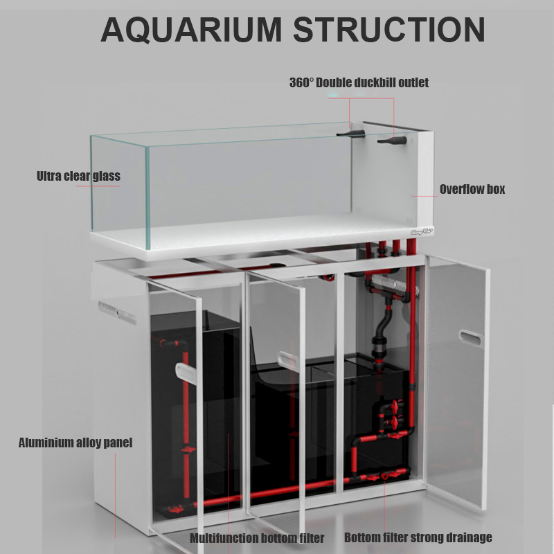 Large Modern Style Glass Fish  - Aquarium Marine Fish For Sale ulasan dan harga