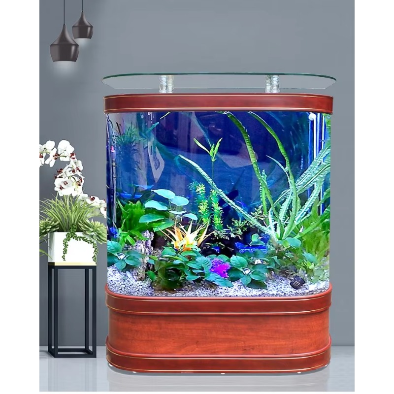 Marine Large 200 Gallon Fish A - Aquarium Marine Fish For Sale ulasan dan harga