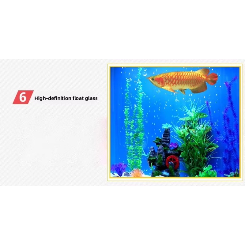 Marine Large 200 Gallon Fish A - Aquarium Marine Fish For Sale ulasan dan harga