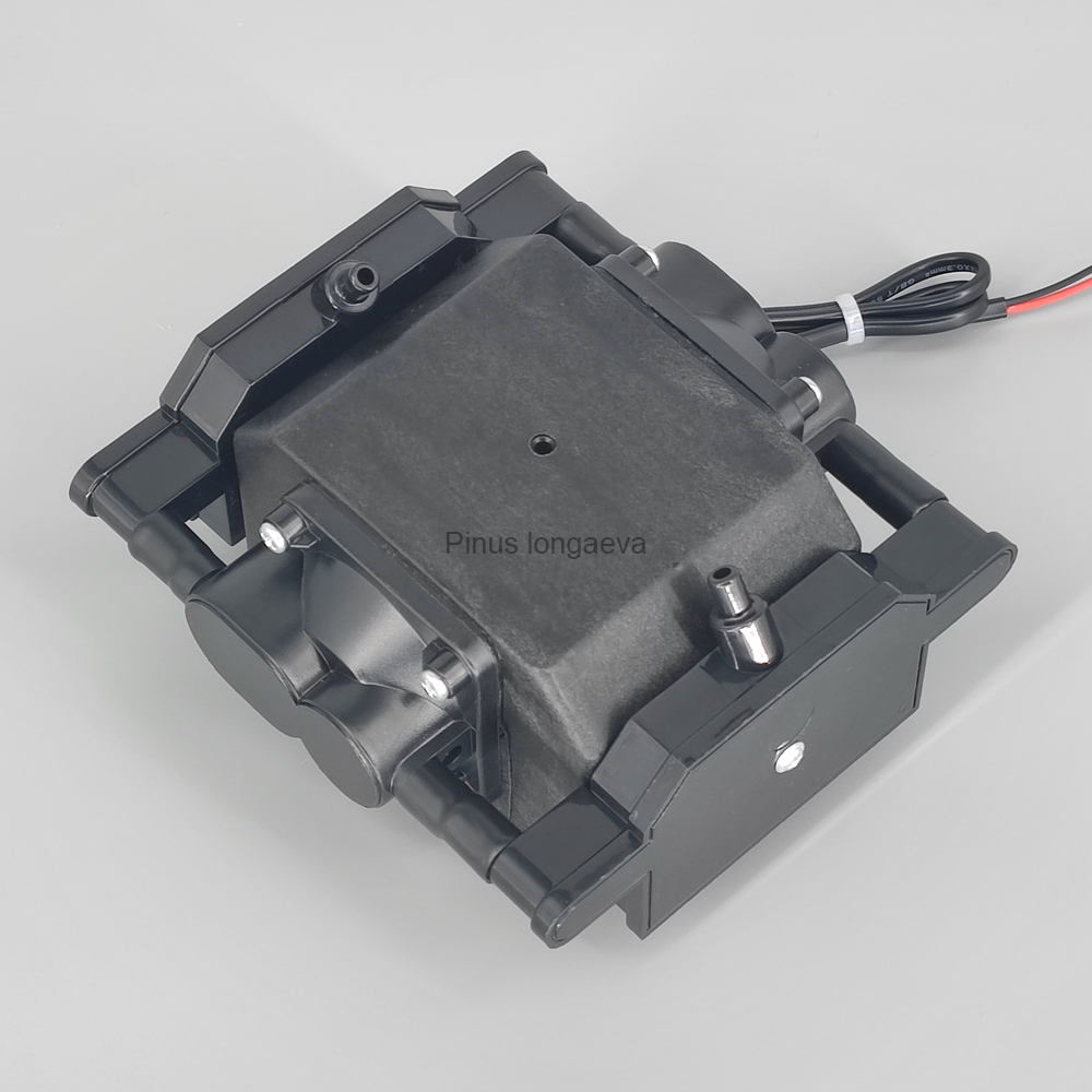 Pinus Longaeva 30L/min 30kPa L - Marine Aquarium Ozone Generator ulasan dan harga