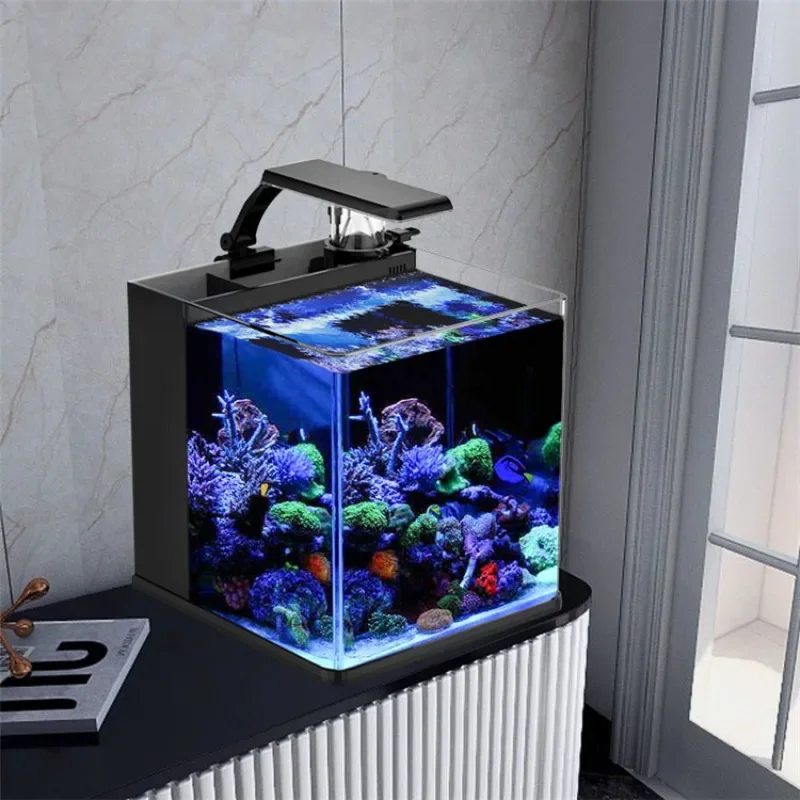 Hot sales Ultra Clear Glass Mi - Aquarium Marine Fish For Sale ulasan dan harga