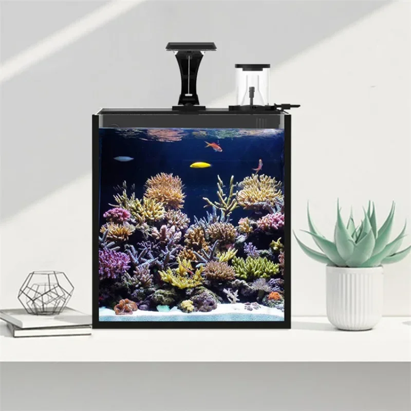Hot sales Ultra Clear Glass Mi - Aquarium Marine Fish For Sale ulasan dan harga