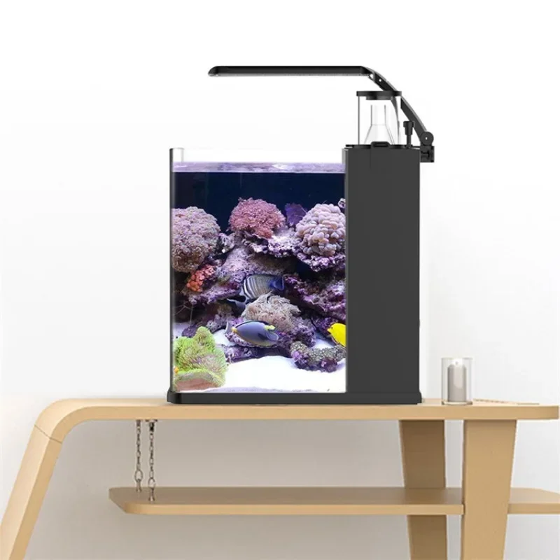 Hot sales Ultra Clear Glass Mi - Aquarium Marine Fish For Sale ulasan dan harga