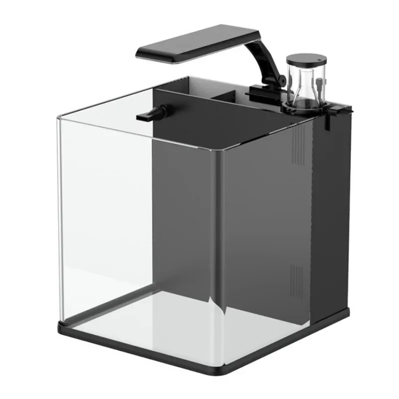 Hot sales Ultra Clear Glass Mi - Aquarium Marine Fish For Sale ulasan dan harga